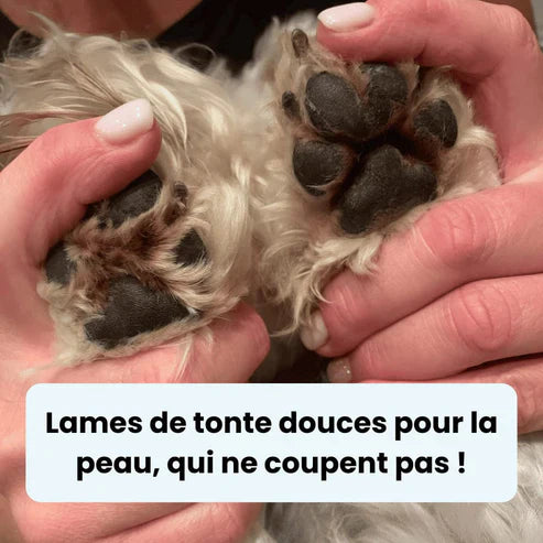 PawTrim Pro™