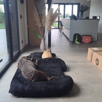 PawTrim Pro™