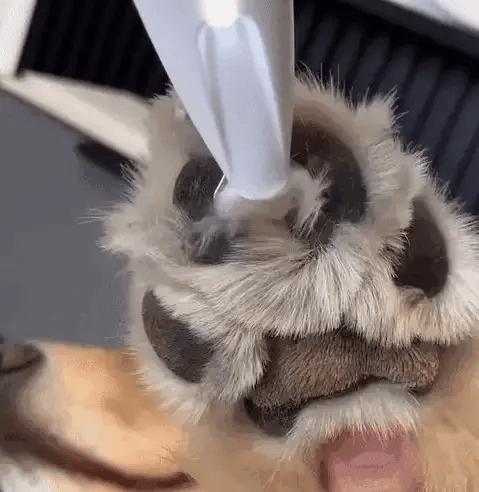 PawTrim Pro™
