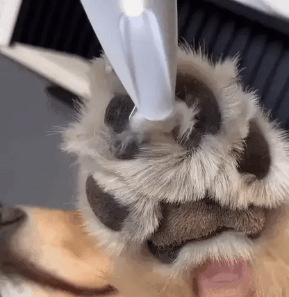PawTrim Pro™